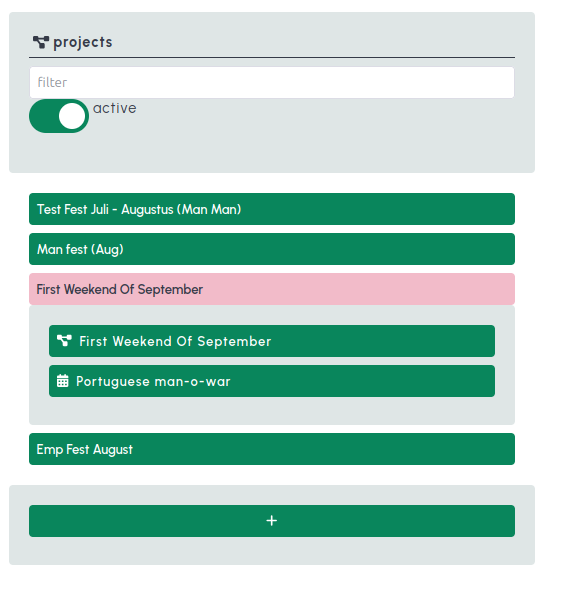 Project overzicht met filters